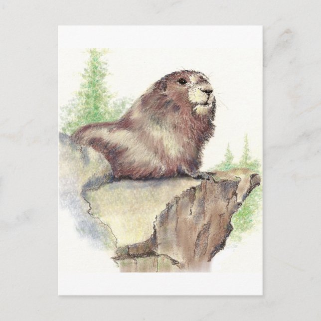 Cute Marmot, Animal Nature, Wildlife Watercolor Vykort (Framsida)