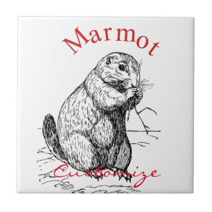 Cute Marmot Animal Thunder_Cove Kakelplatta