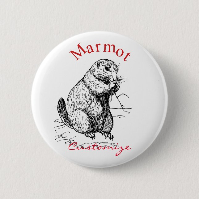 Cute Marmot Animal Thunder_Cove Knapp (Framsida)