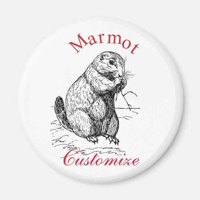 Cute Marmot Animal Thunder_Cove Magnet (Framsidan)