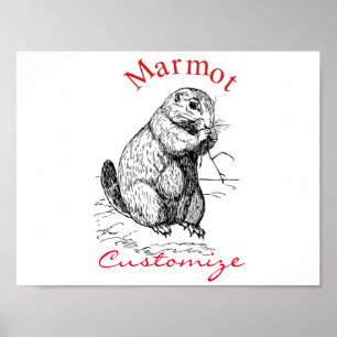 Cute Marmot Animal Thunder_Cove Poster