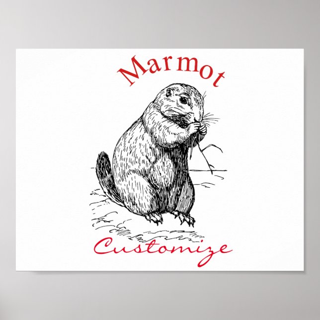 Cute Marmot Animal Thunder_Cove Poster (Framsidan)