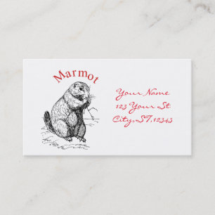 Cute Marmot Animal Thunder_Cove Visitkort