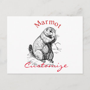 Cute Marmot Animal Thunder_Cove Vykort