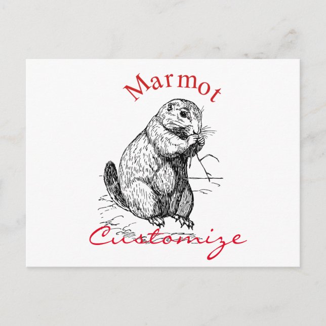 Cute Marmot Animal Thunder_Cove Vykort (Framsida)