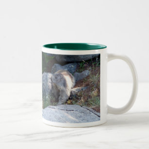 Cute marmot Schweiz mugg