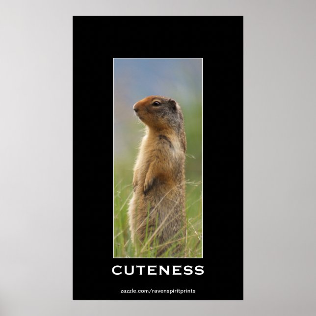 Cute Marmot Wildlife Motivational Photo Poster (Framsidan)