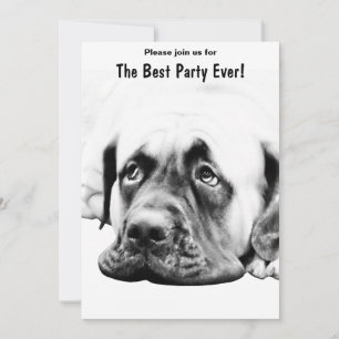 Cute Mastiff-hund Inbjudningar