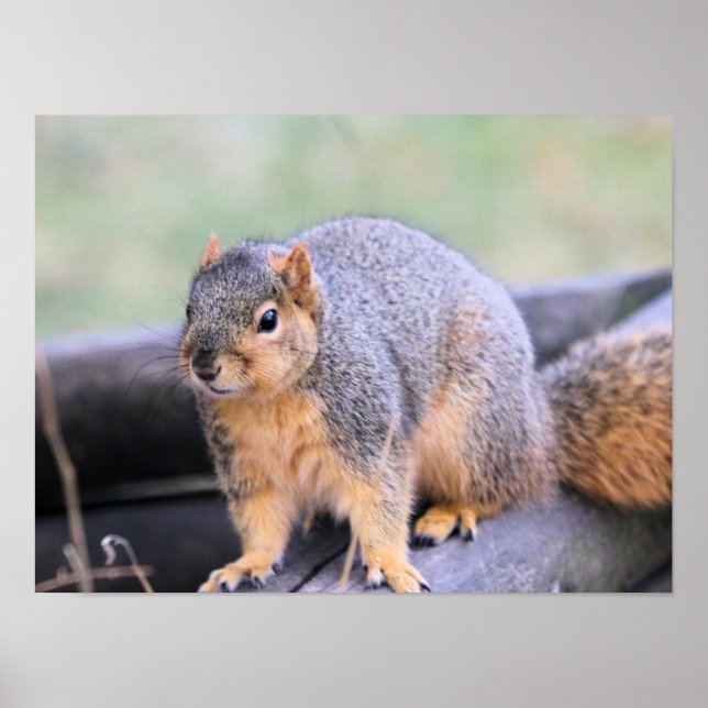 Cute-medarbetare Poster (Framsidan)