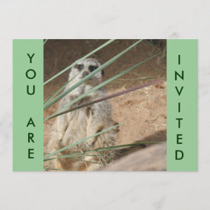 Cute Meerkat-inbjudan Inbjudningar