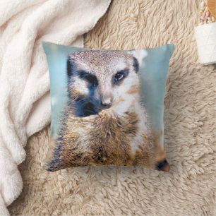 CUTE MEERKAT KUDDE