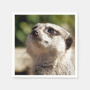 CUTE MEERKAT PAPPERSSERVETT