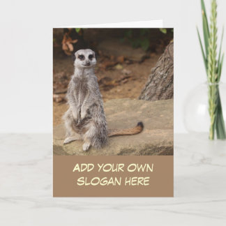 Cute Meerkat Photo Anpassa dig själv Kort
