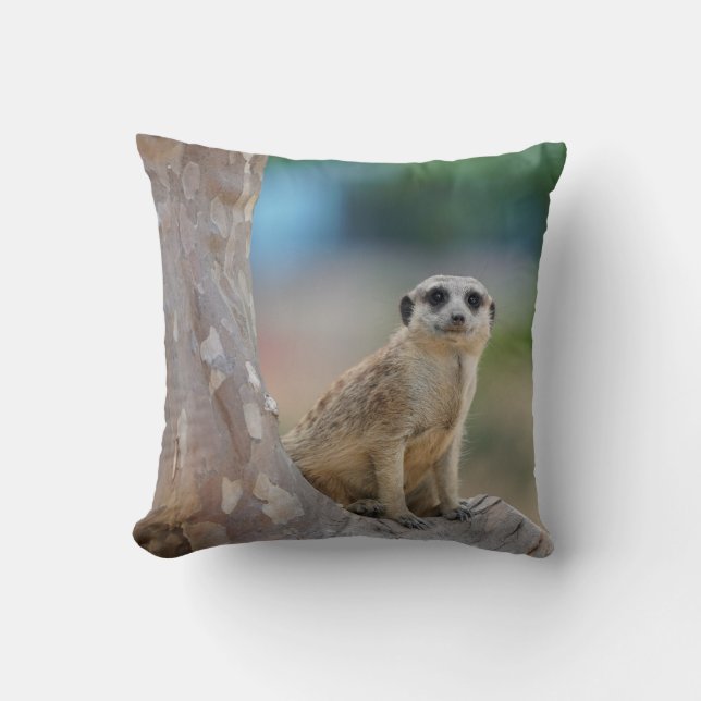 Cute Meerkat Sat on Tree Kudde (Framsida)