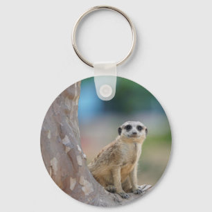 Cute Meerkat Sat på Träd Nyckelring