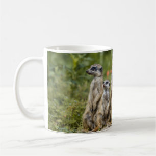 Cute Meerkats Kaffemugg