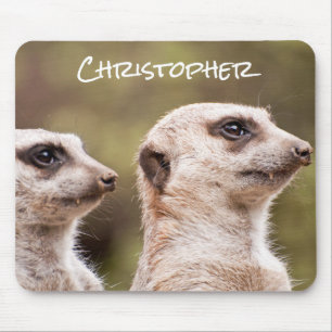 Cute Meerkats Photo Personlig Musmatta