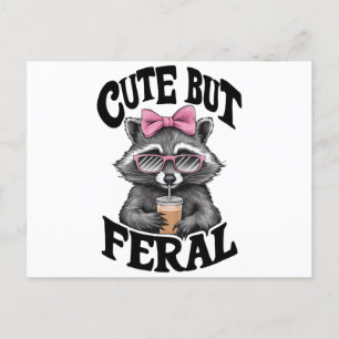 Cute men Feral Racoon med solglasögon Racoon Vykort