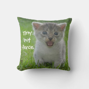 Cute Meow Kitten Tiny but Fierce Kudde