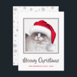Cute Meowy-julklapp och Santa Hat Julkort<br><div class="desc">Cute Meowy jul Fluffy-katt med ett helgdag av julhatt-personlig. Anpassa detta enkelt genom att lägga till ditt namn och information. Perfekt för att skicka till någon kattälskare eller till familj och vänner för helgdagarna.</div>