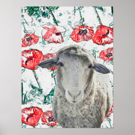 Cute Merino Får Red Poppy Flowers (rödvallmo) Poster