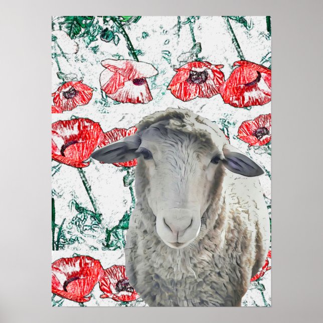 Cute Merino Får Red Poppy Flowers (rödvallmo) Poster (Framsidan)