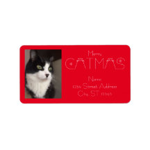 Cute Merry Catmas julklapp - fotoutgång