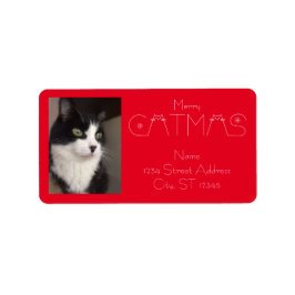 Cute Merry Catmas julklapp - fotoutgång Adressetikett