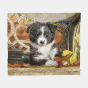 Cute Mini Aussie Shepherd Hund Bi-Färg Puppy _  Fleecefilt