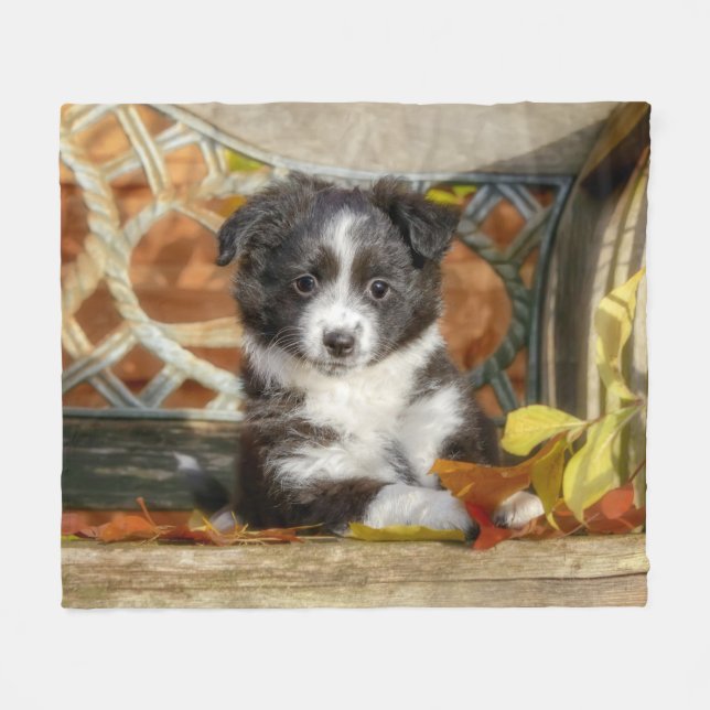Cute Mini Aussie Shepherd Hund Bi-Färg Puppy _  Fleecefilt (Framsidan (Horisontell))