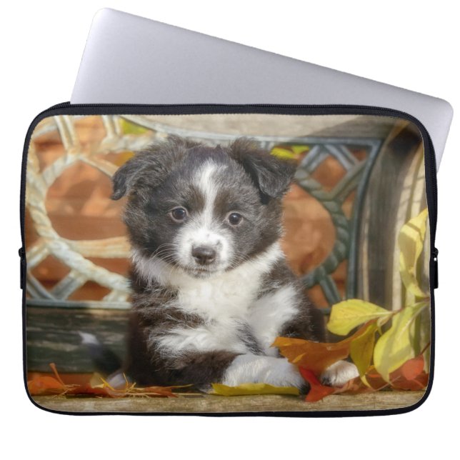Cute Mini Aussie Shepherd Hund Bi-Färg Puppy Laptop Fodral (Framsidan)