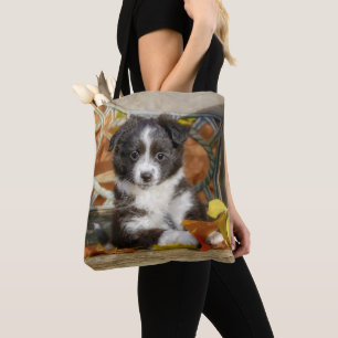 Cute Mini Aussie Shepherd Hund Bi-Färg Puppy Tygkasse