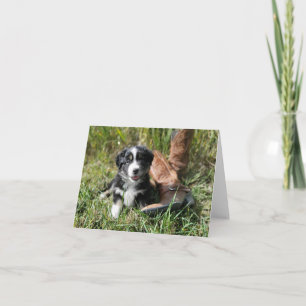 Cute Mini Aussie-valp med cowboystövlar Anteckningskort
