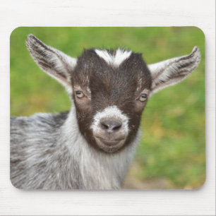 Cute Mini Dwarf Goat Kid Mouse Pad Musmatta