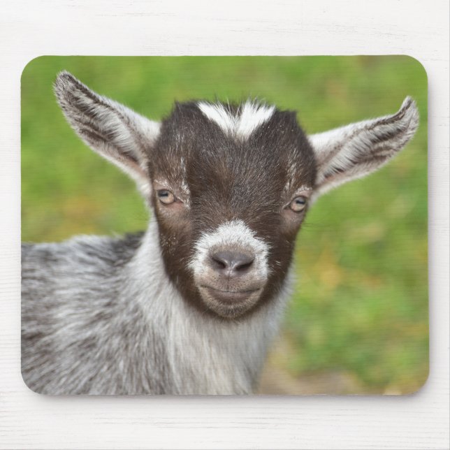 Cute Mini Dwarf Goat Kid Mouse Pad Musmatta (Framsidan)