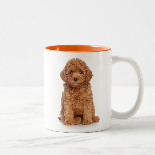 Cute Mini Golden Doodle Två-Tonad Mugg (Höger)