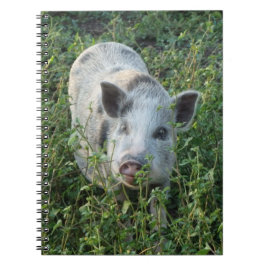 Cute Mini Juliana Pet Gris Anteckningsbok