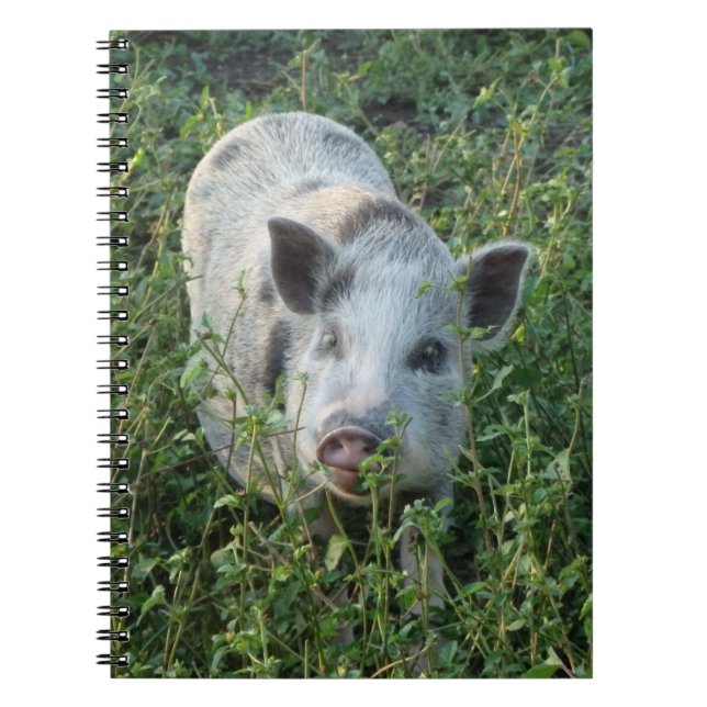 Cute Mini Juliana Pet Gris Anteckningsbok (Framsidan)