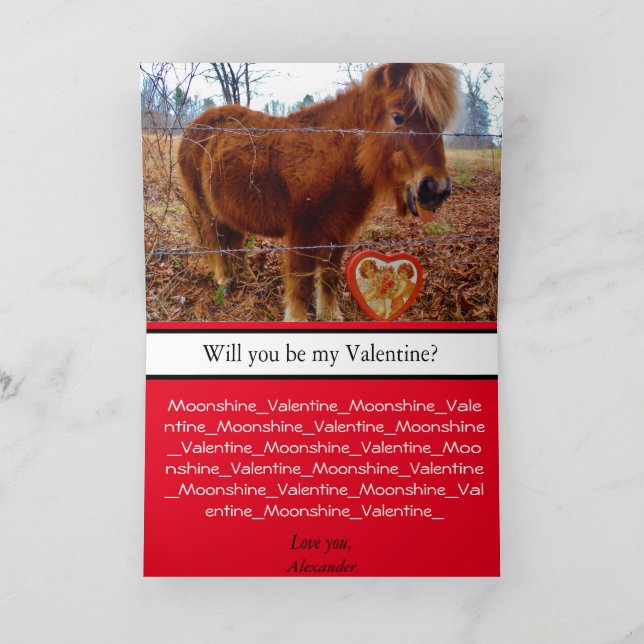 Cute Miniature Horse Valentine Pony och Heart Kort (Inuti)