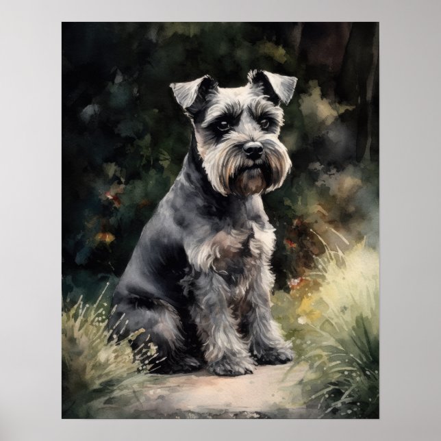 Cute Miniature Schnauzer Hund Art Print Poster (Framsidan)