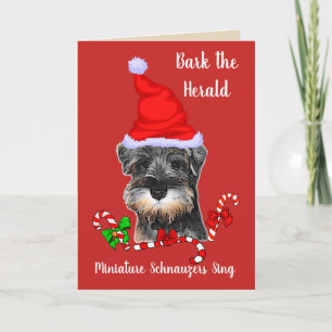 Cute Miniature Schnauzer jul Helgkort