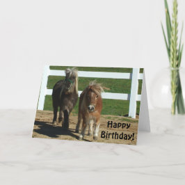 Cute Minihorse Birthday Card Kort