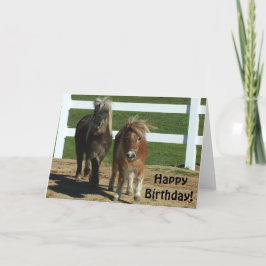 Cute Minihorse Birthday Card Kort