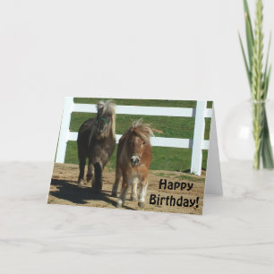 Cute Minihorse Birthday Card Kort