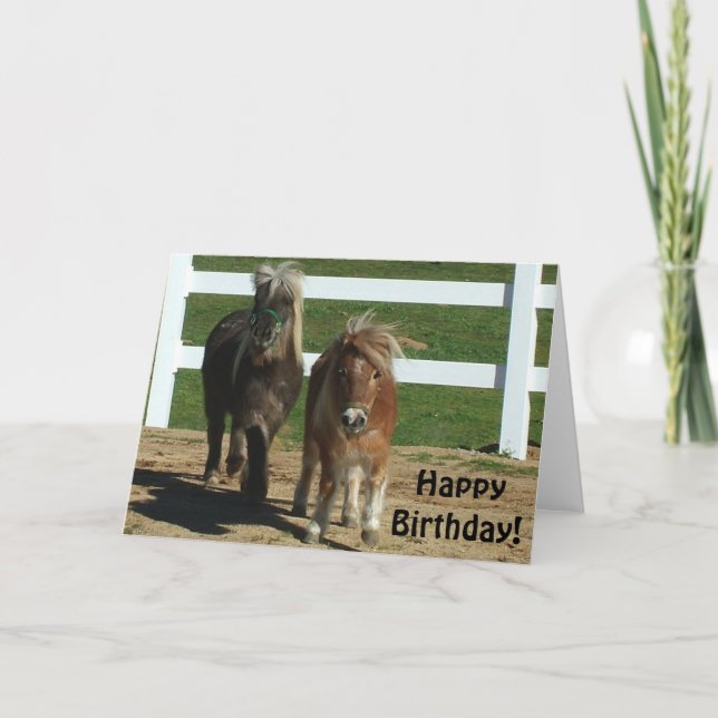 Cute Minihorse Birthday Card Kort (Framsida)