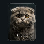 Cute Modern Refrigerator Cat Pet Photo Magnet<br><div class="desc">Cute Modern Refrigerator Cat Pet Photo Magnet</div>