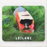 Cute Monogram Photo Musmatta<br><div class="desc">Behålla bild på katten eller ersätt den med ett eget foto på ett sällskapsdjur. Det finns en ställe där du kan skriva ditt namn eller ditt husdjurs namn. Min dotter ville ha en bild i vår katttaco till hennes musknapp så vi utarbetade det här tillsammans.</div>