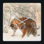 Cute Mor Tiger med Baby i Snö Fyrkantig Klocka<br><div class="desc">Höstskogen - Detta serenlandskap bild i höst löv kommer säkert att le på ansikte. Höst,  skogen,  skogsmark,  skog,  träd,  fall,  fodral,  natur,  natur,  ,  natur</div>