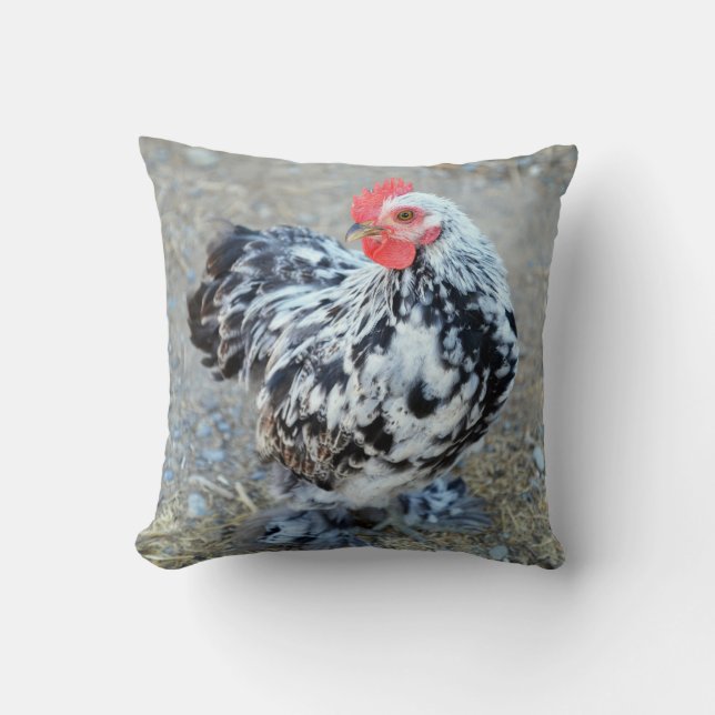 Cute Mottled Bantam Cochin Chicken Pillow Kudde (Framsida)