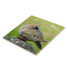 Cute Mourning Dove Ceramic Tile Kakelplatta